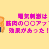 電気刺激と筋力の関係