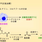 遊離脂肪酸とは