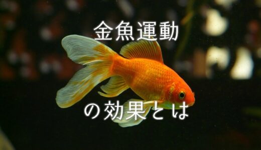 金魚運動のやり方や効果とは？